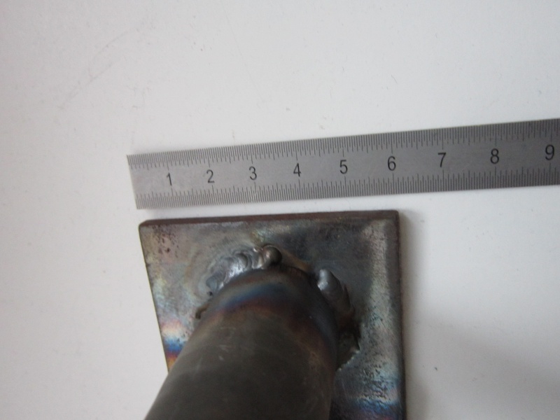 Datei:Mauergarten IMG 4269.JPG