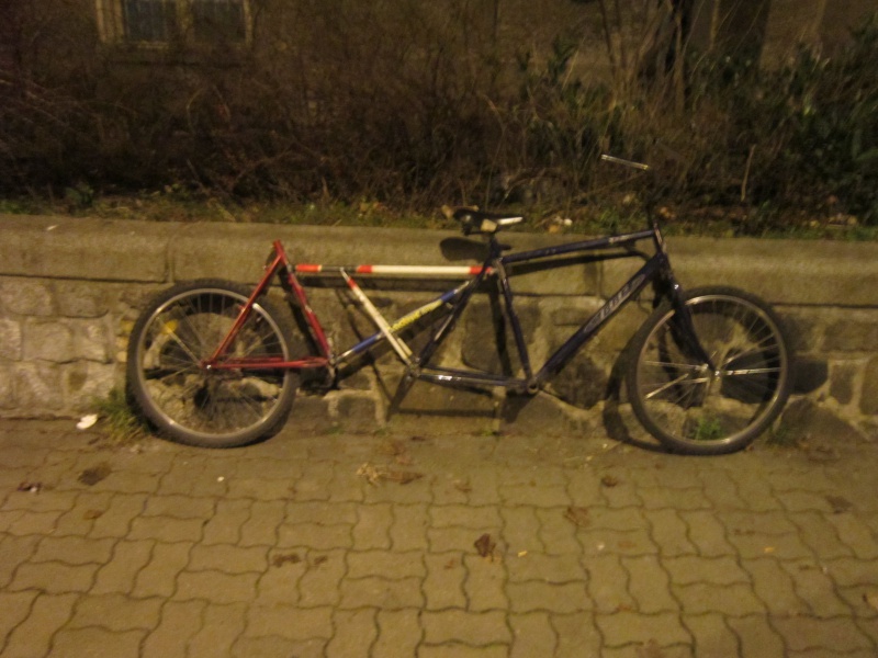 Datei:Kubiz Long Tail Bike IMG 0105.JPG