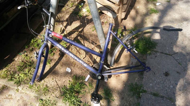 Datei:20190407 Schrott Rahmen.jpg