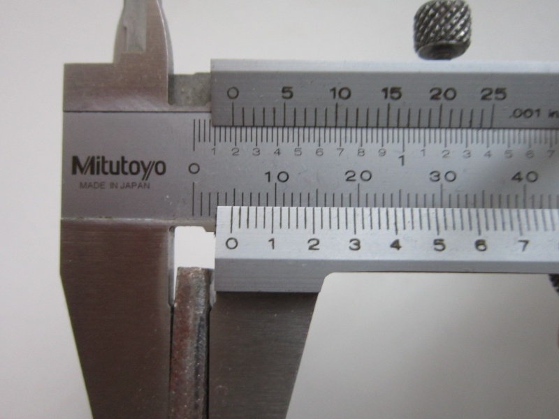 Datei:Mauergarten IMG 4274.JPG