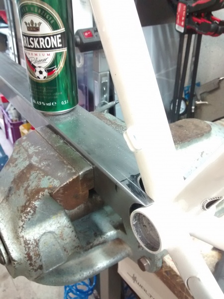 Datei:Longbred 27652651014 o.jpg